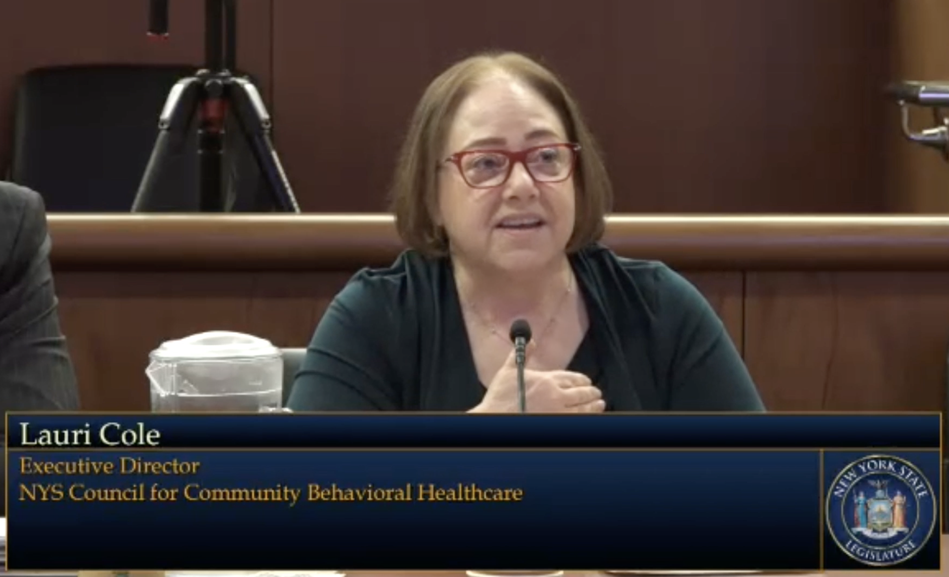 Full Testimony before Joint Legislative Budget Committee